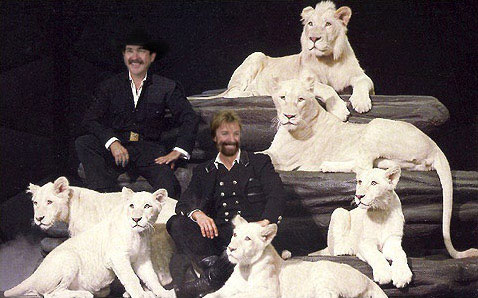 Brooks and Dunn as Siegfried & Roy (Click for Original)